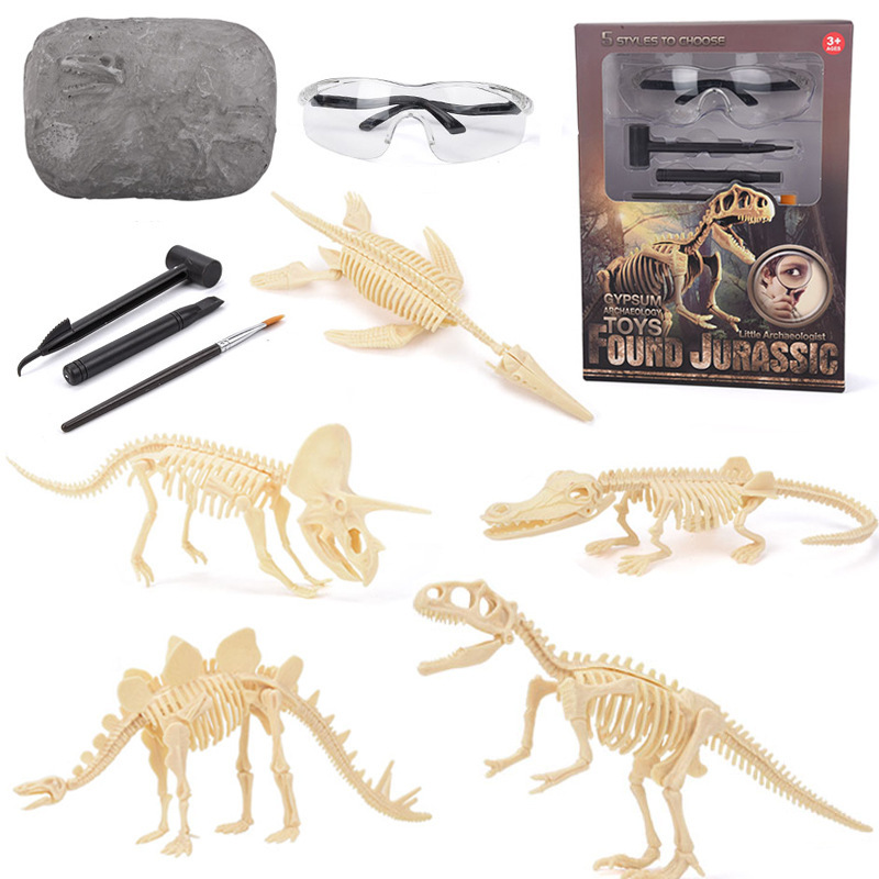 恐竜化石発掘キット STEM 恐竜骨格模型発掘おもちゃ 男の - Model Kit For Girls のレビューと価格